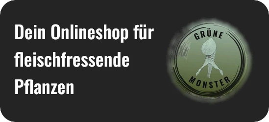 fleischfressende pflanzen kaufen