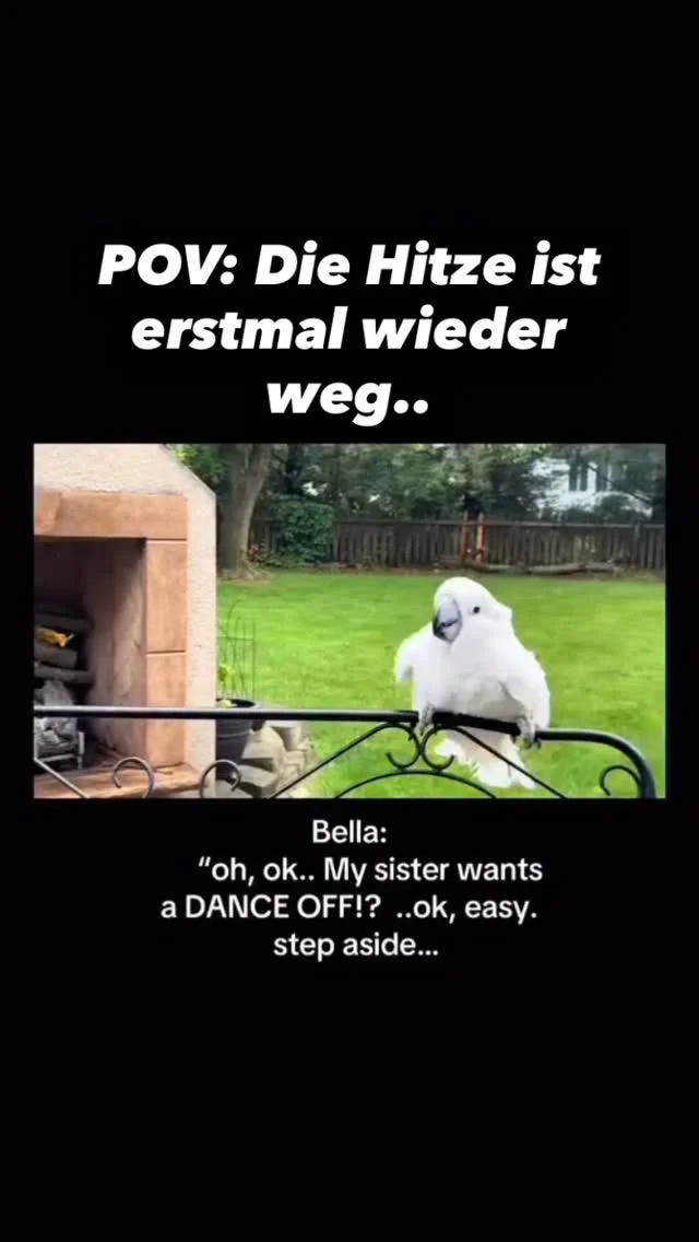 Instagram-Beitrag 18132229345438953